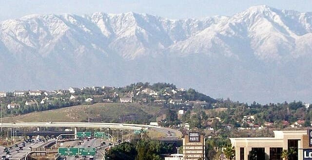 Professional tree services in Corona, CA