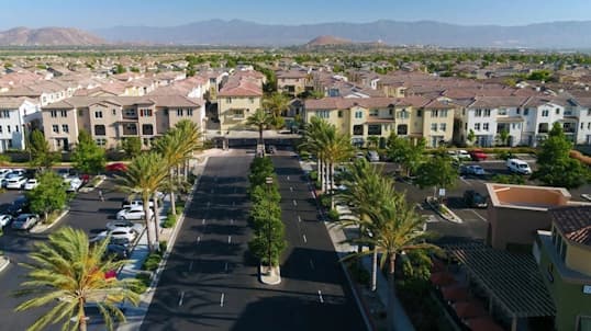 Professional tree services in Eastvale, CA