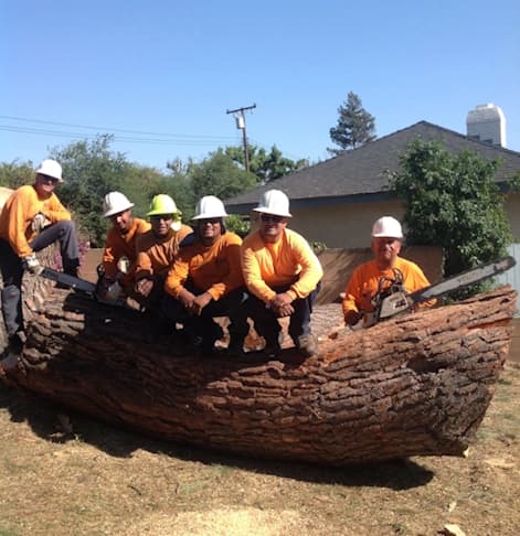 A&J Tree Service Team