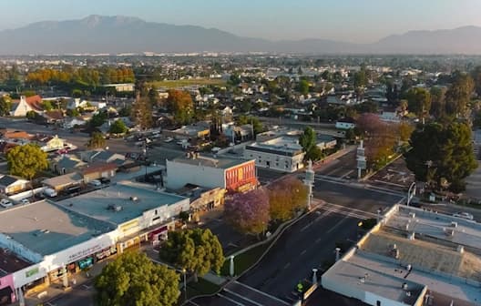 Professional tree services in Rialto, CA
