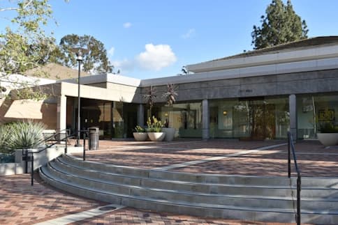 Professional tree service in San Dimas, CA